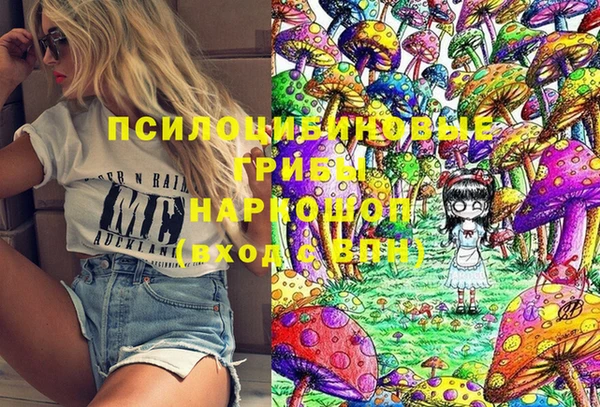 spice Россошь
