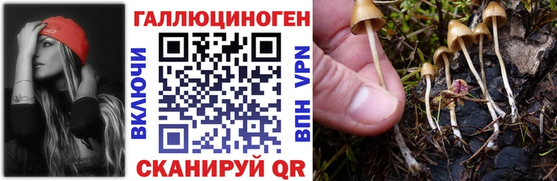 Псилоцибиновые грибы GOLDEN TEACHER  мега ССЫЛКА  Дагестанские Огни  купить наркотики сайты 